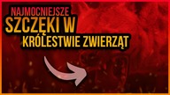 10 ZWIERZAT Z NAJMOCNIEJSZYMI SZCZEKAMI