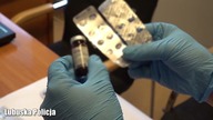 Handlowała receptami na fentanyl.  Lekarka usłyszała zarzuty