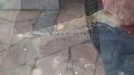 Aligator & Krokodyl Nil.  w Warszawskim zoo