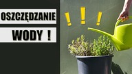 Jak oszczędzać WODĘ w ogrodzie ?