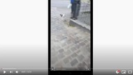 RAFALALA bezkarnie wykorzystuje i obraża ludzi