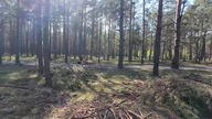  Jeżdżenie na Rowerze czy Leżenie - Hamak z Moskitierą - Nóżka do Roweru URSUS JUMBO 80 - na Około