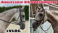 Ogłowie ANGIELSKIE VS ANATOMICZNE - które lepsze?