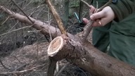 Test PIŁY survivalowej FOSCO