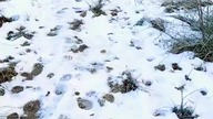 -7 w Koszalinie, czyli zima, zima wciąż trzyma! Pies Rubik i śnieżne zabawy! Szron i mróz nad Morzem