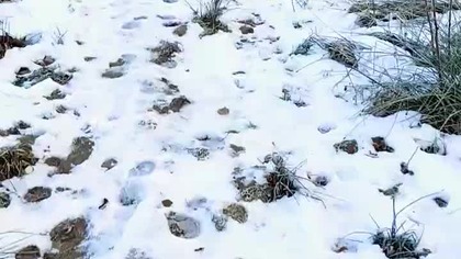 -7 w Koszalinie, czyli zima, zima wciąż trzyma! Pies Rubik i śnieżne zabawy! Szron i mróz nad Morzem