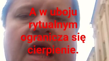 a w uboju rytualnym ogranicza się cierpienie.