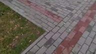 Winda Orona-KrakDźwig (kl.  1) i Winda Zremb (kl. 2) - Marynarki Wojennej 18, Tarnów
