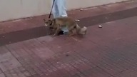 Spacer z pupilem