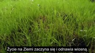 Ukryta historia płaskiej Ziemi tom 2 część 2 - Słońce w kościele