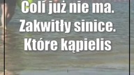 Coli już nie ma.  Zakwitły sinice.  Które kąpieliska są otwarte?