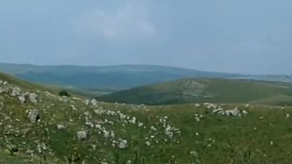 Błąd szeryfa 1970 wgrane napisy polskie western