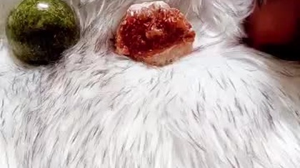 #wrozka #wybierzkartę