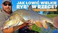 347 JAK ŁOWIĆ WIELKIE RYBY W RZECE? REKORDZISTA POLSKI OPOWIADA! WĘDKARSKA FEEDER KUCHNIA CZ. 3