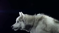 Swedish House Mafia - Save The World