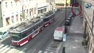 Pościg za dzikiem po ulicach miasta.  Przepłynął rzekę, zniszczył sklep i atakował policję 