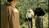 126- Miłość jak tequila