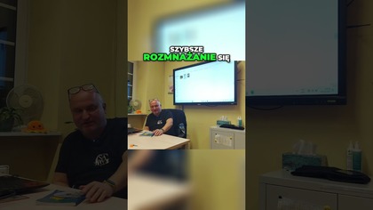 Jak skutecznie zwalczać bakterie w akwarium  #akwarium #akwarystyka #bakterie