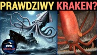 Gigantyczna kałamarnica zaatakowała amerykański statek! Niezwykły atak z 1978 roku