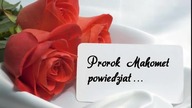 RE Alejkumki Róże miłości