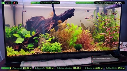 AkwaLive porządki [LIVE #145]