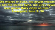 Swiadectwo Zygmunta