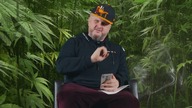 NAMOCNIEJSZE ODMIANY NA POLSKI OUTDOOR