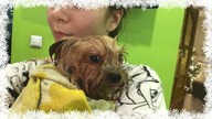 VLOGMAS#23:Chyba NIE BYŁ CHĘTNY....