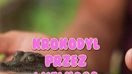 Czy KROKODYL Może wysunąć Język??