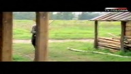 Po trupach Tiger..VID-1710105150876