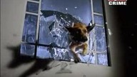 Komisarz Rex S04E12 Zemsta