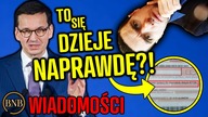 Skandal! Surowe KARY dla Polaków za OGRZEWANIE mieszkań.  Ciekawy film o życiu