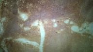 Eksploracja planety Mars Theatrum Illuminatum