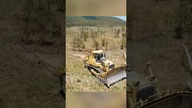 Karczowanie lasów gigantycznym łańcuchem