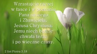 Audycja Wyzwolony - Julia De La Cruz