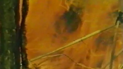 Zapomniany równoleżnik 1982 lektor pl Dramat Akcja