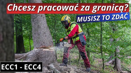 Chcesz pracować jako drwal za granicą? Zdaj ECC1-ECC4 || Szkoła drzewa & Okiem ZULa