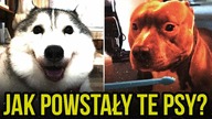 10 HISTORII POWSTANIA RAS PSOW