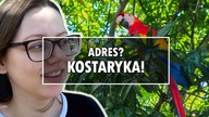 JAK TO JEST PRZENIEŚĆ SIĘ NA KONIEC ŚWIATA +wielkie papugi  KOSTARYKA [2]