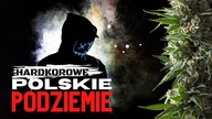 Od 14 roku życia widziałem, że BĘDĘ UPRAWIAŁ ZIOŁO | *MOCNA* rozmowa z GROWEREM #rolltalk