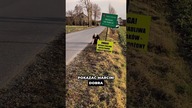 Pompki z gównem!