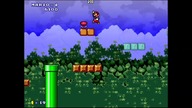 Mario Forever Season Collab Spring Gamer Cave