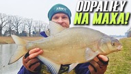 564 ELDORADO W LODOWATEJ WODZIE! WROCŁAWSKI KANAŁ - ODRA