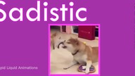 s stands for shibe