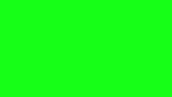 Wszystkie animacje logotypu Nickelodeon - od 01. 08. 2023 [Green Screen, HD]