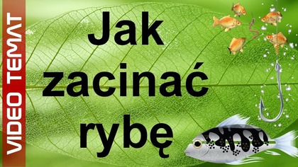 Jak zacinać ryby