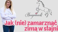 Jak nie zamarznac zima w stajni