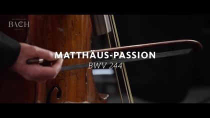 Jan Sebastian Bach, Pasja św.  Mateusza (napisy)