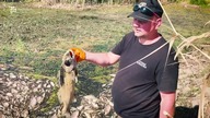 Ludzie po prostu się boją.  Miejscowi żyją w strachu...
