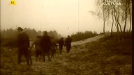 NA MELINĘ (1965)